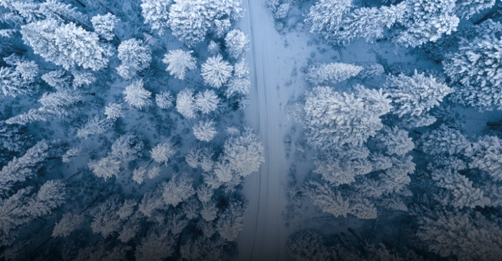 Verschneite Straße zwischen schneebedeckten Tannen in Vogelperspektive